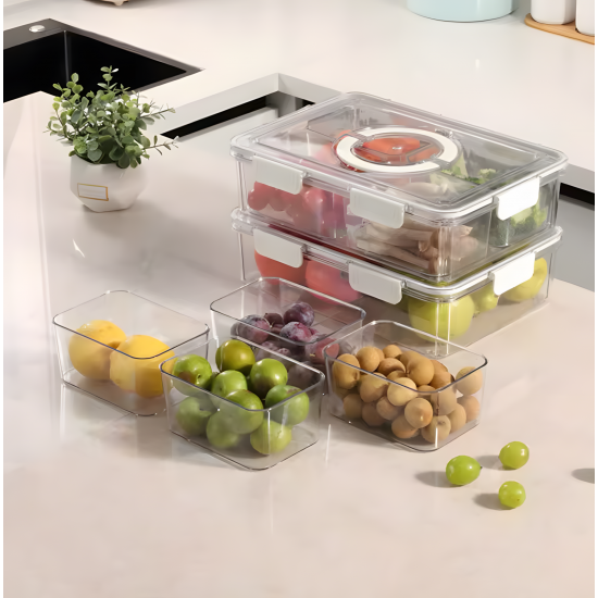 4-Compartment Plastic Tupperware